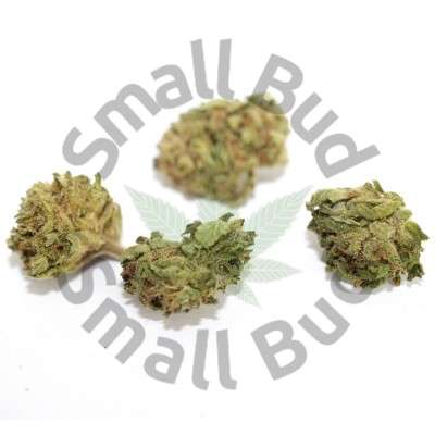 small bud cbd de qualité et cbd pas cher